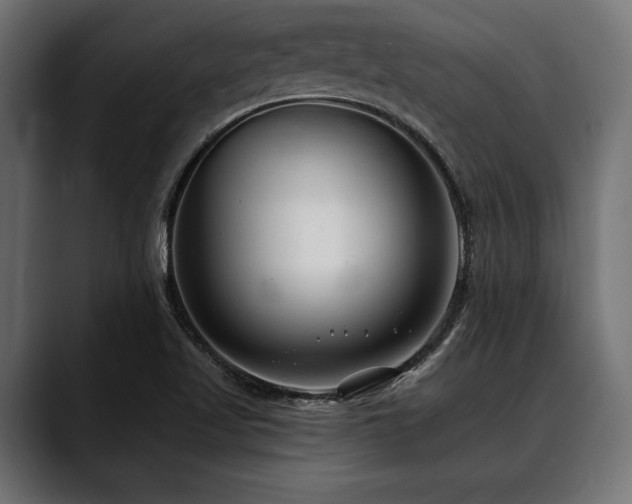 X0000088611509200705251209