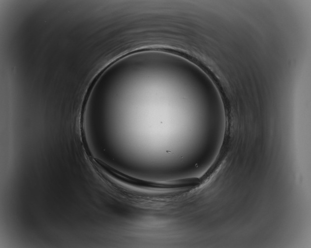 X0000088611513200705251210