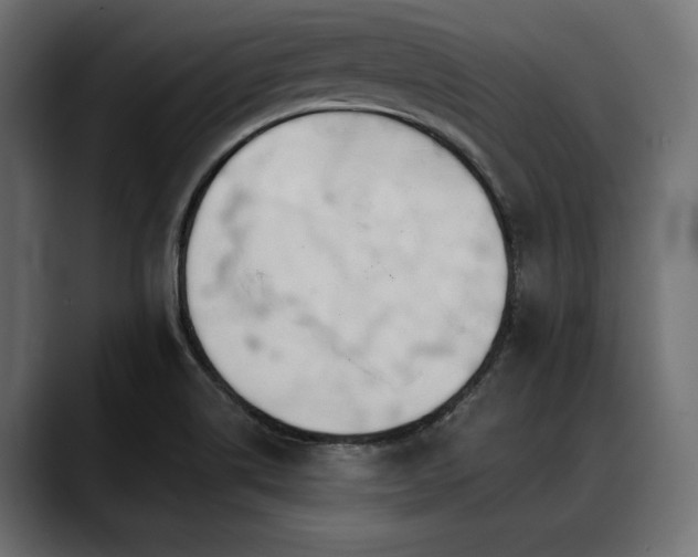 X0000088611514200705251210