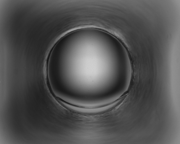 X0000088611516200705251210