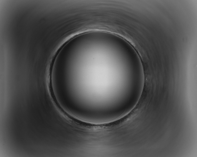 X0000088611523200705251210