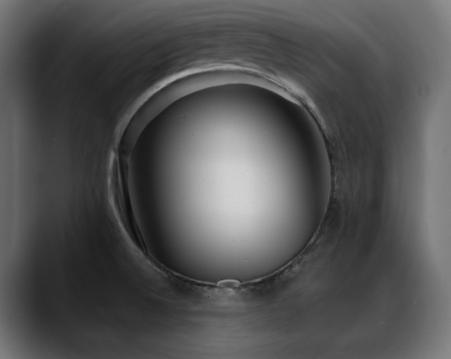 X0000088611524200705251210