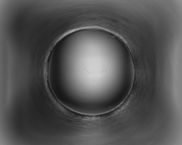 X0000088611526200705251210