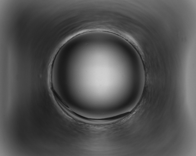 X0000088611528200705251210