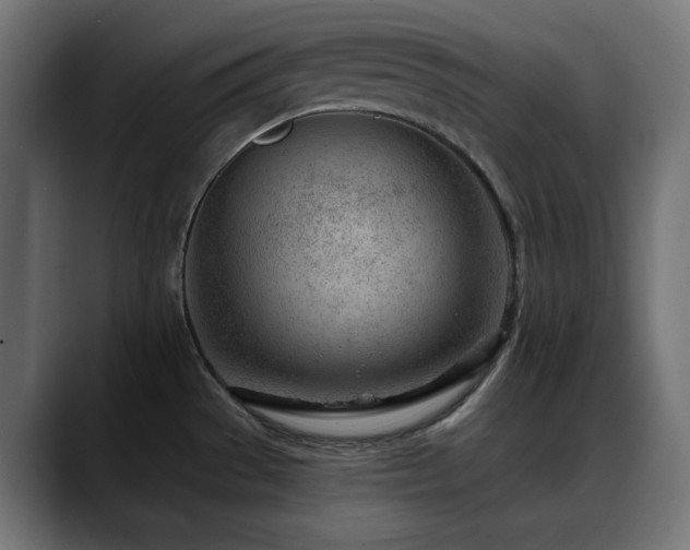 X0000088611529200705251210