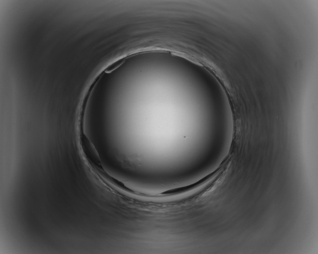 X0000088611530200705251210