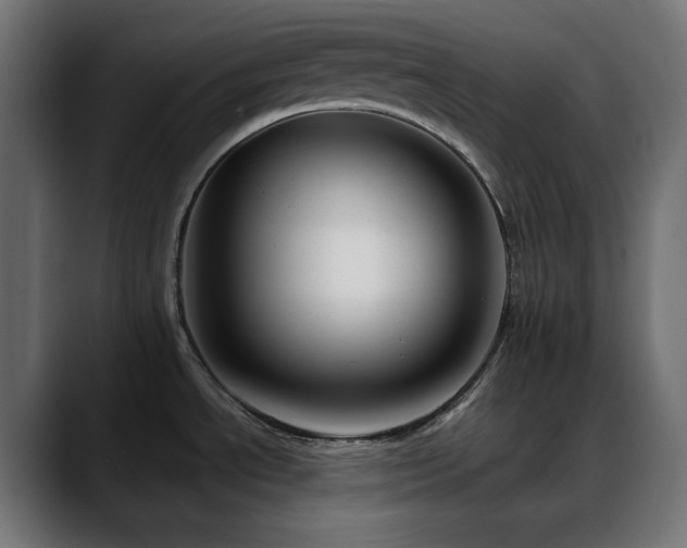 X0000088611534200705251210