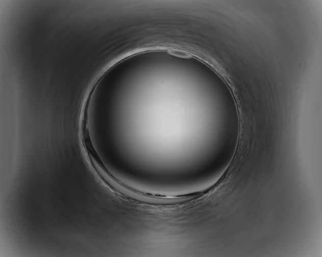 X0000088611536200705251210