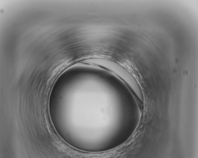 X0000088610001200706011239