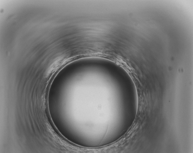 X0000088610002200706011239