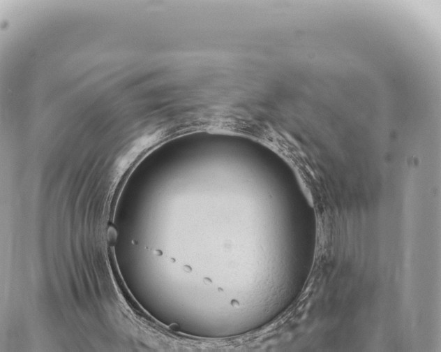 X0000088610003200706011239