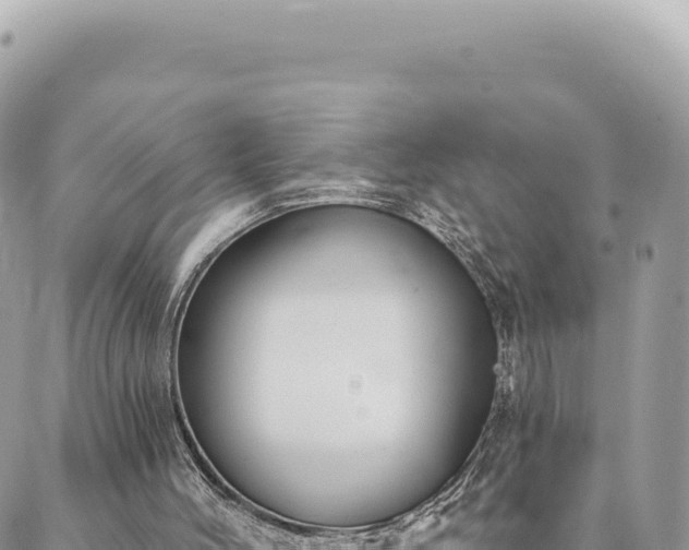 X0000088610004200706011239