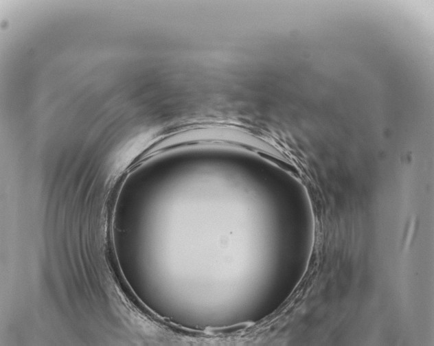 X0000088610005200706011239