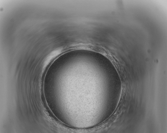 X0000088610006200706011239