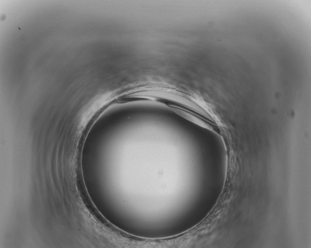 X0000088610007200706011239