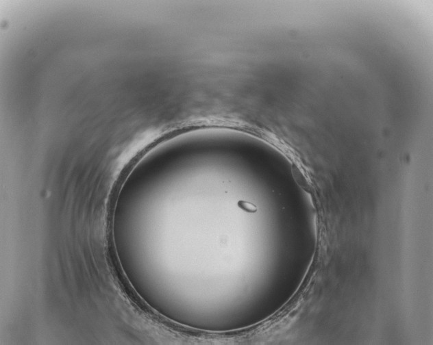 X0000088610008200706011239