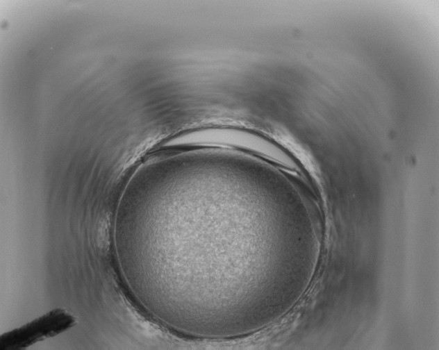 X0000088610009200706011239