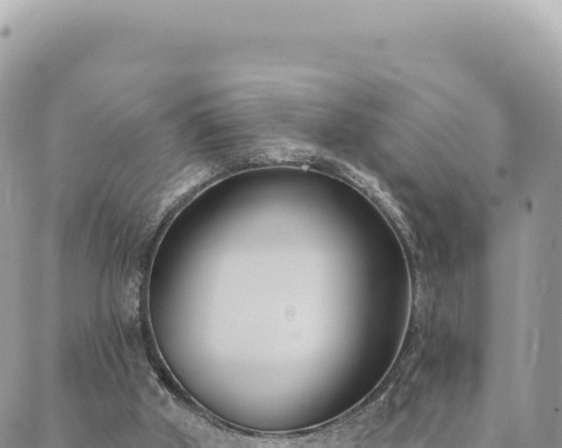 X0000088610010200706011239