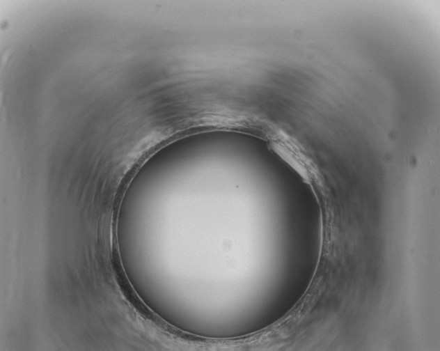 X0000088610011200706011239