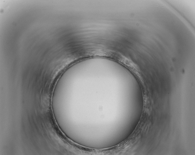 X0000088610012200706011239