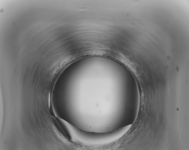 X0000088610013200706011239