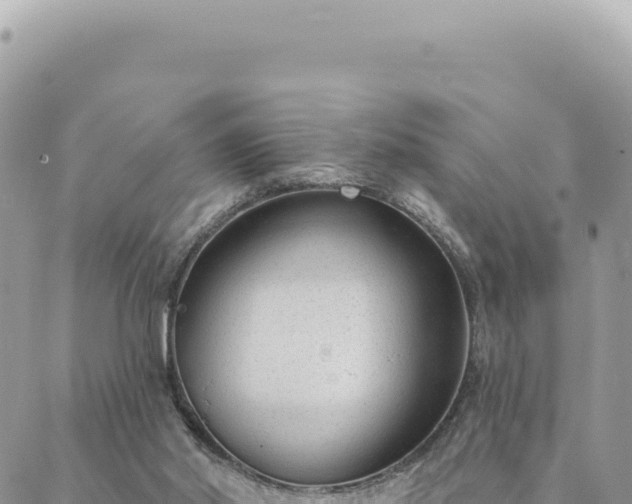 X0000088610014200706011239