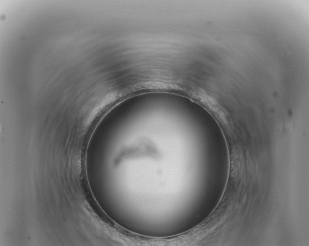 X0000088610015200706011239