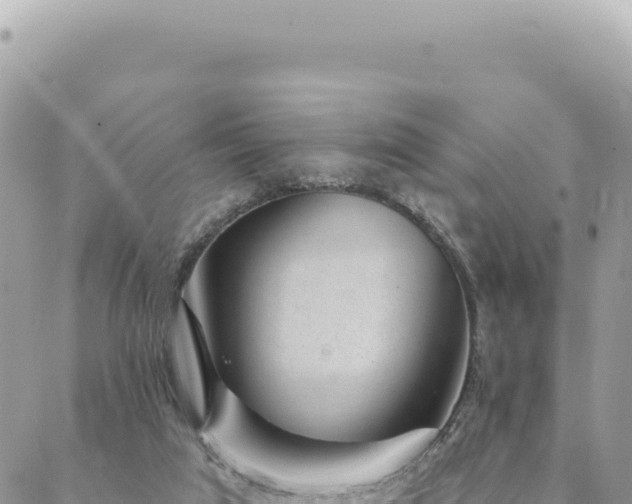 X0000088610017200706011239