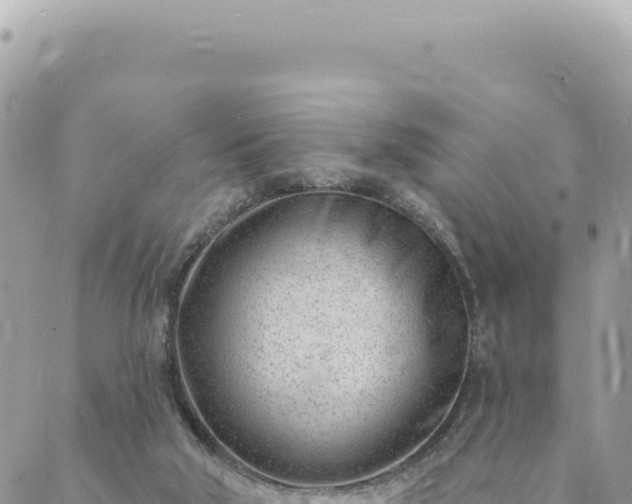 X0000088610018200706011239