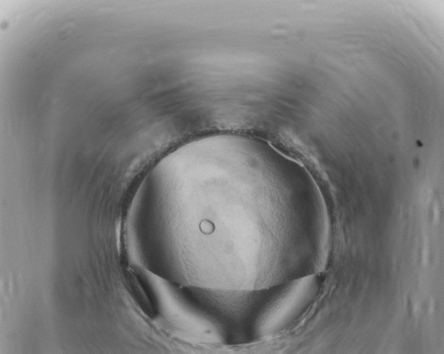 X0000088610019200706011239