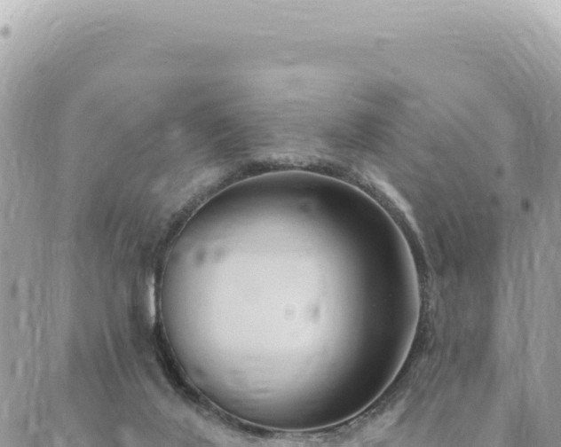 X0000088610020200706011239