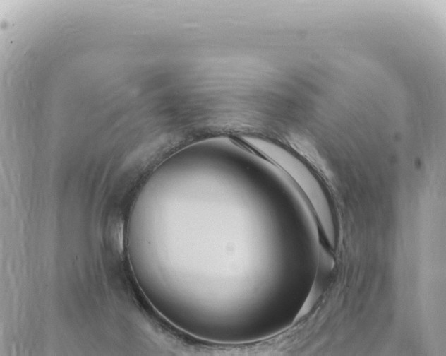 X0000088610021200706011239