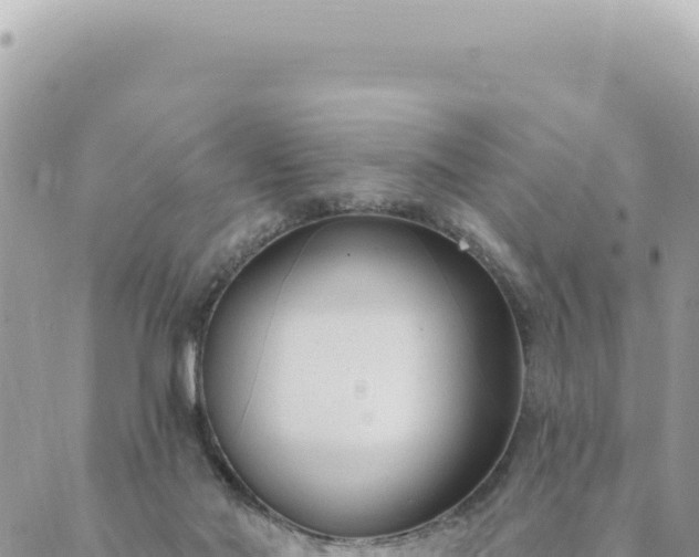 X0000088610022200706011239