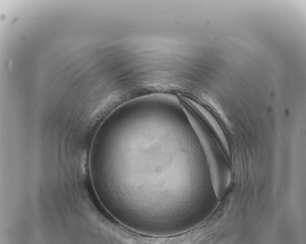 X0000088610023200706011239