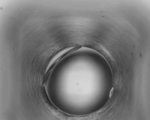 X0000088610025200706011239