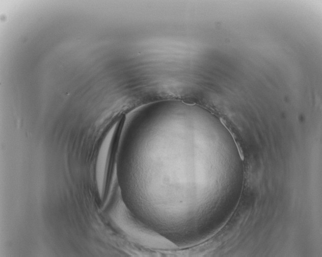 X0000088610027200706011239