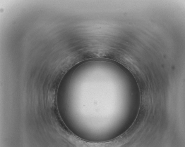 X0000088610030200706011239