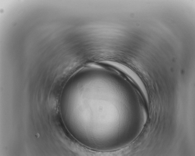 X0000088610031200706011239