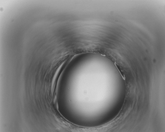 X0000088610033200706011239