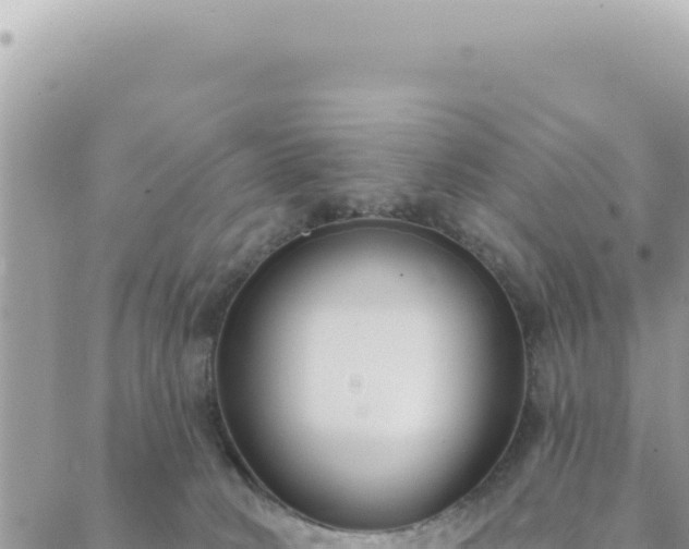 X0000088610034200706011239