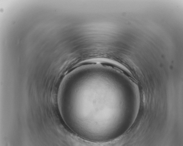 X0000088610035200706011238