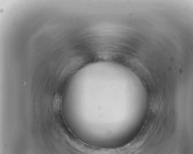 X0000088610036200706011238