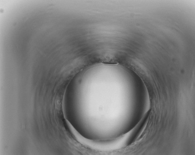 X0000088610037200706011238