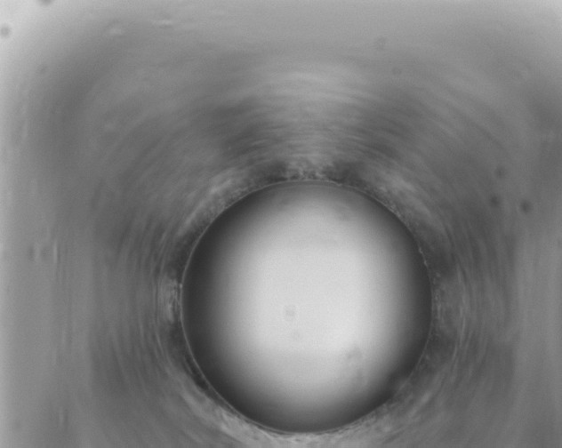 X0000088610038200706011238