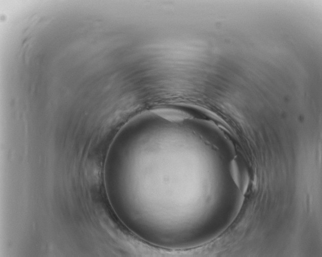 X0000088610039200706011238