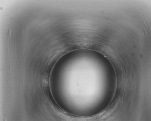 X0000088610040200706011238