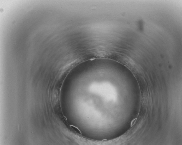 X0000088610043200706011238