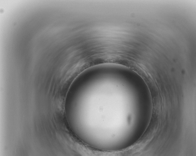 X0000088610044200706011238