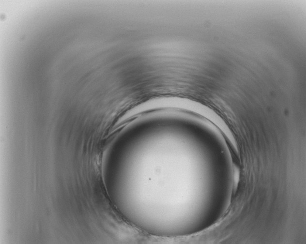 X0000088610045200706011238