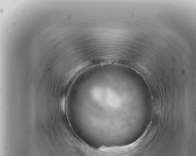 X0000088610047200706011238